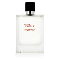 Hermès Terre D' AS 100 ml M (Nový obal)