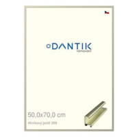 DANTIK rámeček 50 × 70, ALU profil 7269 Šedý Pyrit broušený plexi čiré