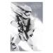 Plakát Star Wars: Episode VII - Stormtrooper (117)