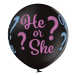 Belbal Latexový Jumbo balón černý - He or She? 60 cm