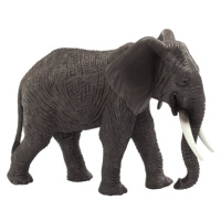 Animal Planet Slon africký
