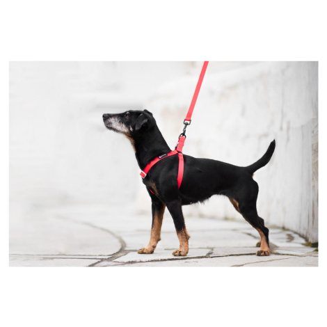 Vsepropejska Georgia postroj pro psa s vodítkem Barva: Červená, Obvod hrudníku: 44 - 60 cm