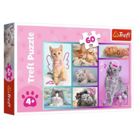 TREFL - Puzzle 60 - Roztomilé kočky / Trefl