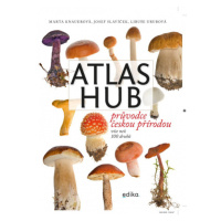 Atlas hub Edika