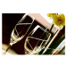 Dekorant Sklenice na víno s krystaly Swarovski KONEČNĚ ❤️