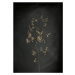 Ilustrace Black Gold Botanical No 3, Aureous, 30 × 40 cm