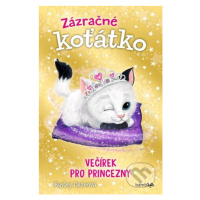 Zázračné koťátko 3 - Večírek pro princezny - Hayley Daze - kniha z kategorie Beletrie pro děti