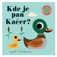 Kde je pan Kačer? Plstěná okénka a zrcátko! - Ingela P. Arrhenius