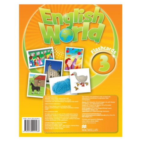 English World 3 Flashcards Macmillan