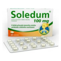 Soledum 100mg cps.etm.20