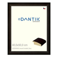 DANTIK rámeček 40 × 50, LEDVINKA tmavě hnědý sklo čiré