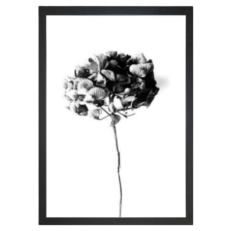 Plakát 24x29 cm Velvet Flower – Tablo Center Vavien Artwork