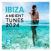 Various: Ibiza Ambient Tunes 2024