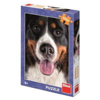 Puzzle Chlupatý pes 300 XL dílků