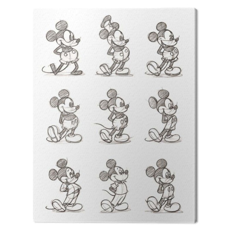 Obraz na plátně Mickey Mouse - Multi, 2 - 30×40 cm Pyramid