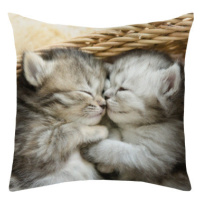 Dekorační polštářek Spící koťata, 25x25 cm