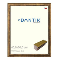 DANTIK rámeček 40 × 50, TRITON zlatý sklo čiré