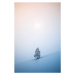 Ilustrace Christmas Tree, borchee, (26.7 x 40 cm)
