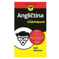 Angličtina pro nechápavé