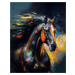 Obrazy na stěnu - Divoký černý abstraktní kůň Rozměr: 40x50 cm, Rámování: vypnuté plátno na rám