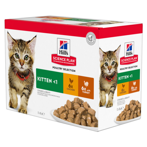 Hill's Science Plan Kitten - 12 x 85 g drůbeží výběr