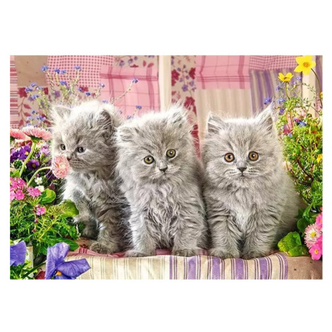 CASTORLAND Puzzle Tři šedivá koťata 260 dílků