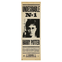 Plakát, Obraz - Harry Potter - Undersirable no. 1, 53 × 158 cm