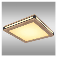 Stropní svítidlo 41589D1 LED 12W PL1