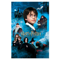 Plakát, Obraz - Harry Potter - Kámen mudrců, (61 x 91.5 cm)