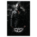 Umělecký tisk The Dark Knight Trilogy - Bane, 26.7 × 40 cm