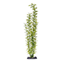 Penn Plax Blooming Ludwigia Green Super 45,5 cm