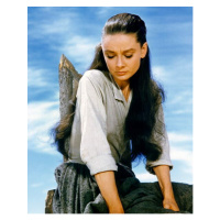 Fotografie Audrey Hepburn, The Un Forgiven 1960 Directed By John Huston, 30 × 40 cm