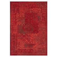 Hanse Home Collection koberce Kusový koberec Celebration 103467 Plume Red Rozměry koberců: 120x1