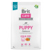 Brit Care Dog Grain-free Puppy 3kg