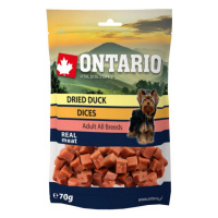 Ontario Snack Duck Dice Small dog 70 g