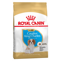 Royal Canin Cavalier King Charles Puppy - Výhodné balení 2 x 1,5 kg