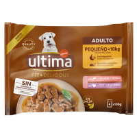 Ultima Fit & Delicious Mini pro psy Adult 44 × 100 g - losos a krůtí