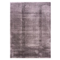 Berfin Dywany Kusový koberec Microsofty 8301 Dark lila