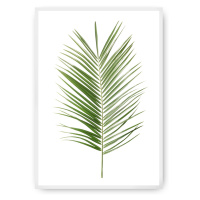 Dekoria Plakát Palm Leaf Green, 30 x 40 cm, Vybrat rám: Bílý