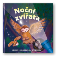 Noční zvířata