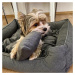 Vsepropejska Snug elegantní pelech pro psa Barva: Tmavě-šedá, Rozměr (cm): 130 x 110
