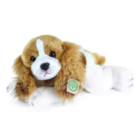 RAPPA Plyšový pes kavalír king charles španěl ležící 30 cm, Eco-Friendly