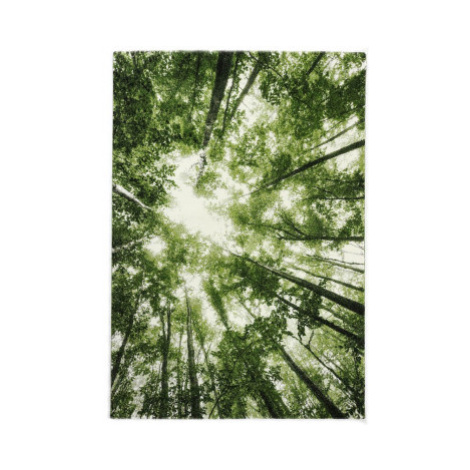 Koberec Belis 80x150 cm, zelený les Asko