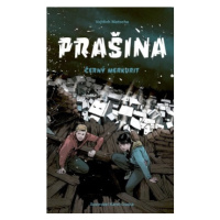 Prašina - Černý merkurit