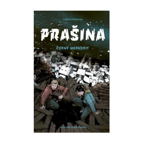 Prašina - Černý merkurit Paseka