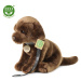 Eco-Friendly Rappa pes labrador 25 cm