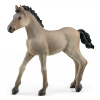 Schleich Hříbě Criollo Definitivo