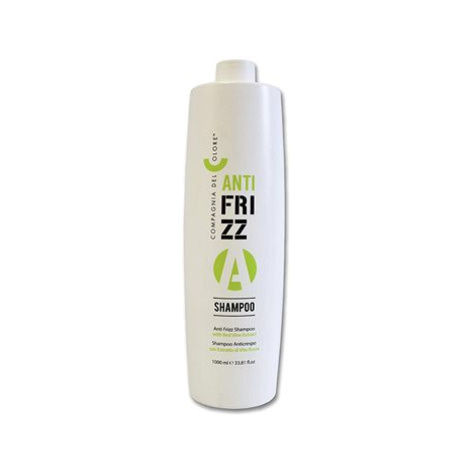 COMPAGNIA DEL COLORE Anti-Frizz Shampoo 1000 ml