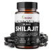 Blendea Shilajit extrakt 60 kapslí