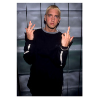 Fotografie Eminem at the 1999 MTV Video Music Awards, Kevin.Mazur, 30 × 40 cm